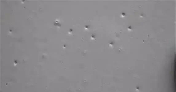 乳膠漆消泡劑應用 乳膠漆消泡劑應用