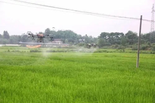 農藥消泡劑農藥 農藥消泡劑農藥